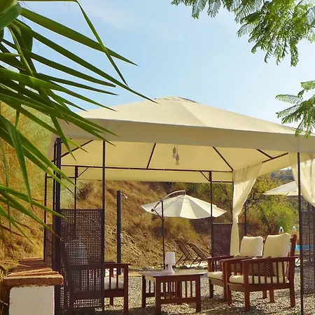 Corazon Andaluz Коин